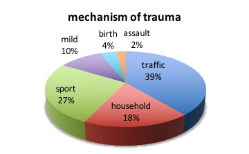épidémio traumas C bis