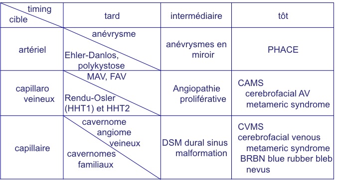 dysplasies vasculaire