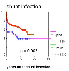 hydrospina infection