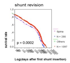hydrospina obstruction