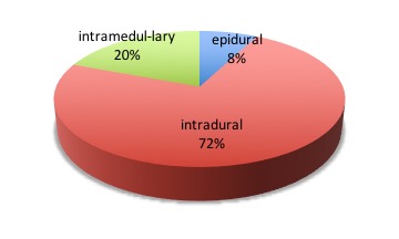 kyste neurentérique loc