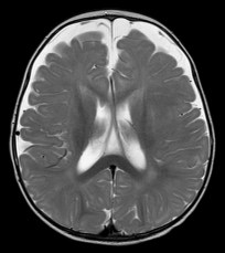 Laruelle Sowenn 17Jun7 4