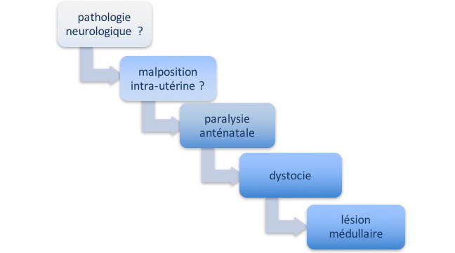 SCIWORA in utero pathog