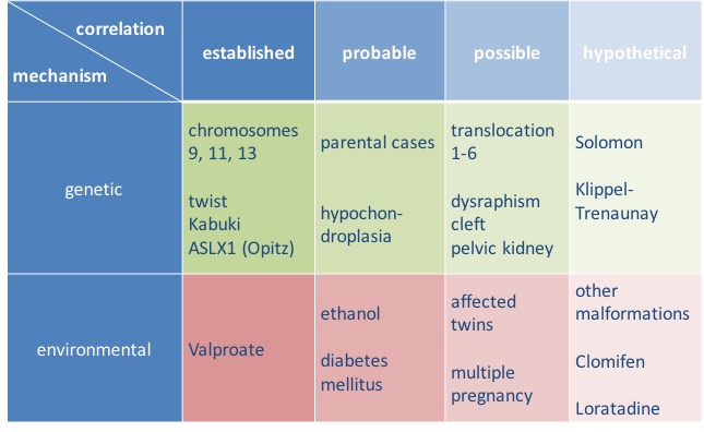trigono syndromique table