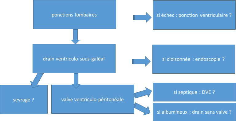 post-H réponse graduée