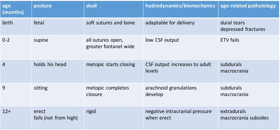 tableau développment crâne