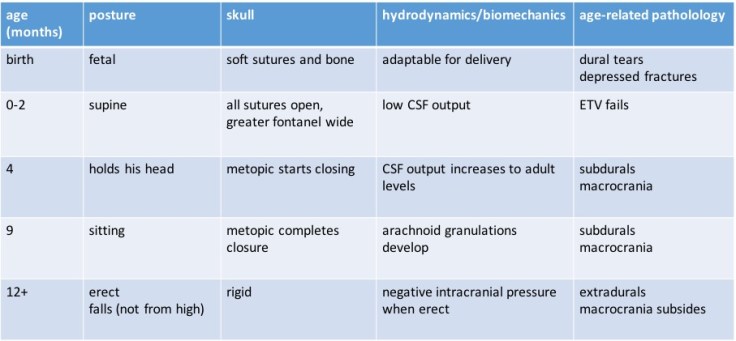tableau développment crâne
