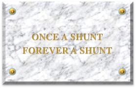 once a shunt