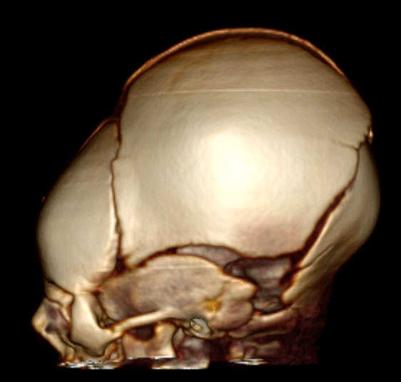 Boutrif Boumediene Reda 19Oct1 1