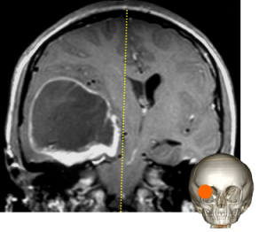 engagement temporal.png